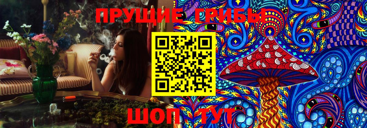 Фролово  Псилоцибиновые грибы Psilocybine cubensis  Галлюциногенные грибы Cubensis  Вход с VPN 